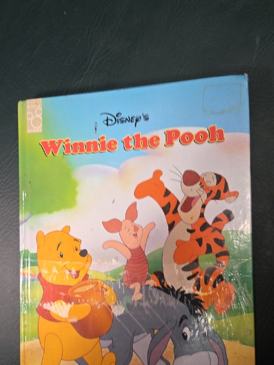 Disney Other - **Disney Winnie the Pooh Illustrated Cover in Blue, Yellow, Orange, Green**